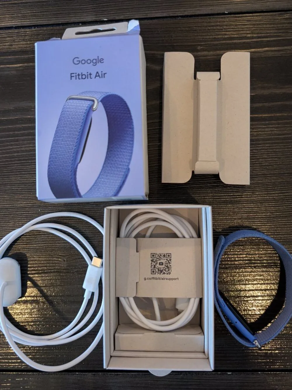 Google Fitbit Air
